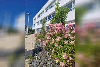  localcommercial vannes 56000