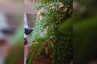  localcommercial vannes 56000