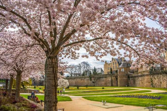  localcommercial vannes 56000