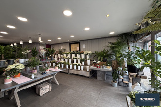  localcommercial wasquehal 59290