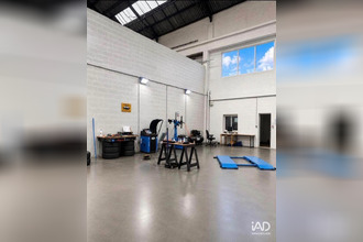  localcommercial wingles 62410