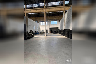  localcommercial wingles 62410