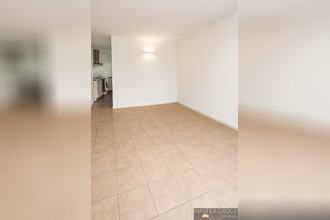 location appartement ajaccio 20000