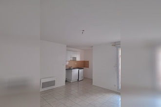 location appartement albi 81000