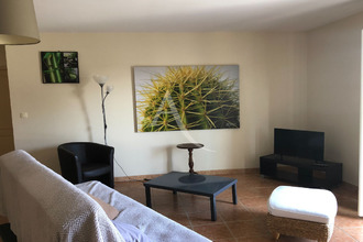 location appartement albi 81000