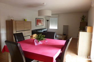 location appartement albi 81000