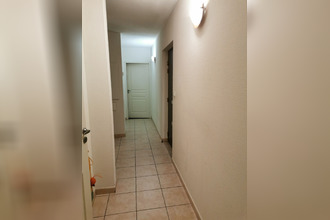location appartement albi 81000