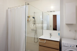 location appartement albi 81000