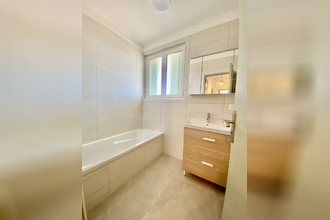 location appartement albi 81000