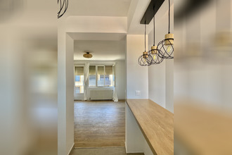 location appartement albi 81000