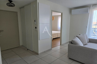 location appartement albi 81000