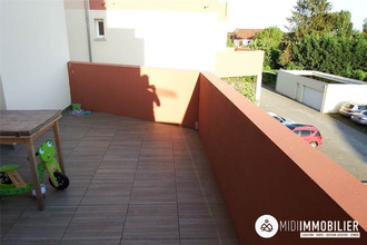 location appartement albi 81000