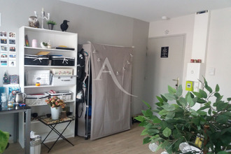 location appartement albi 81000
