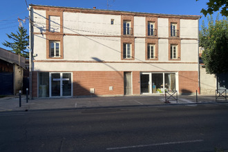 location appartement albi 81000
