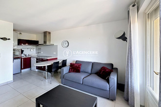 location appartement albi 81000