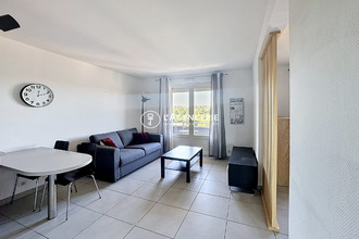 location appartement albi 81000