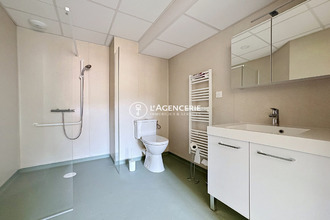 location appartement albi 81000