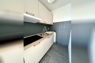 location appartement albi 81000