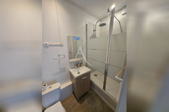 location appartement albi 81000