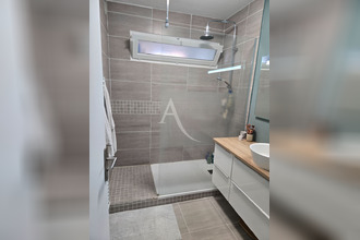 location appartement albi 81000