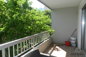 location appartement bastia 20200