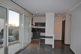 location appartement bastia 20200
