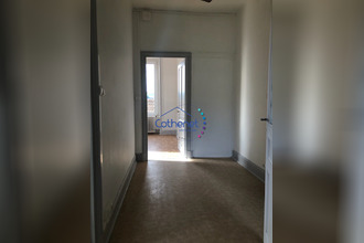 location appartement belmt-de-la-loire 42670