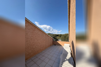 location appartement biguglia 20620