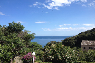 location appartement brando 20222