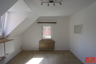 location appartement buschwiller 68220