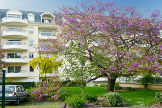 location appartement caen 14000