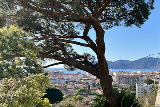 location appartement cannes 06150