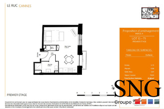 location appartement cannes 06400