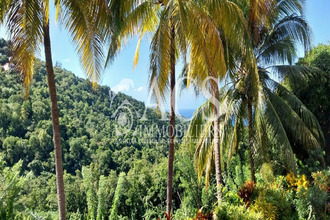 location appartement carbet 97221