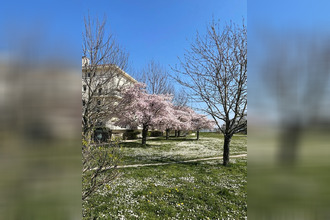 location appartement carrieres-sur-seine 78420