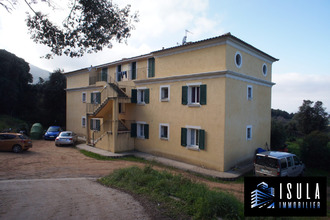location appartement cauro 20117