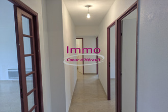 location appartement clermt-l-herault 34800