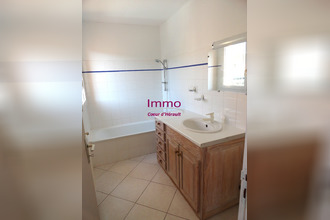 location appartement clermt-l-herault 34800