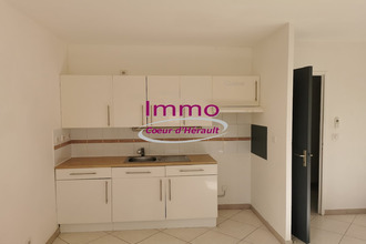 location appartement clermt-l-herault 34800