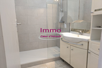 location appartement clermt-l-herault 34800