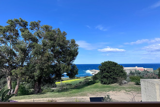 location appartement corbara 20220