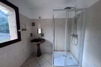 location appartement corbara 20220