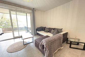 location appartement corte 20250