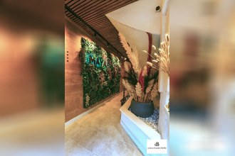 location appartement cosne-cours-sur-loire 58200