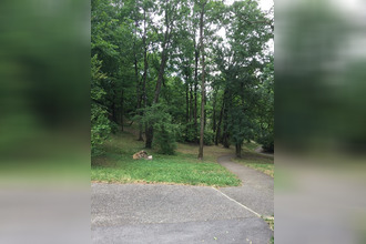 location appartement ecully 69130
