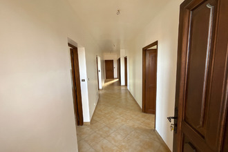 location appartement furiani 20600