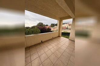 location appartement furiani 20600