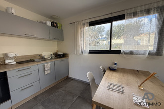 location appartement furiani 20600