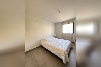 location appartement furiani 20600