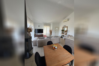location appartement furiani 20600